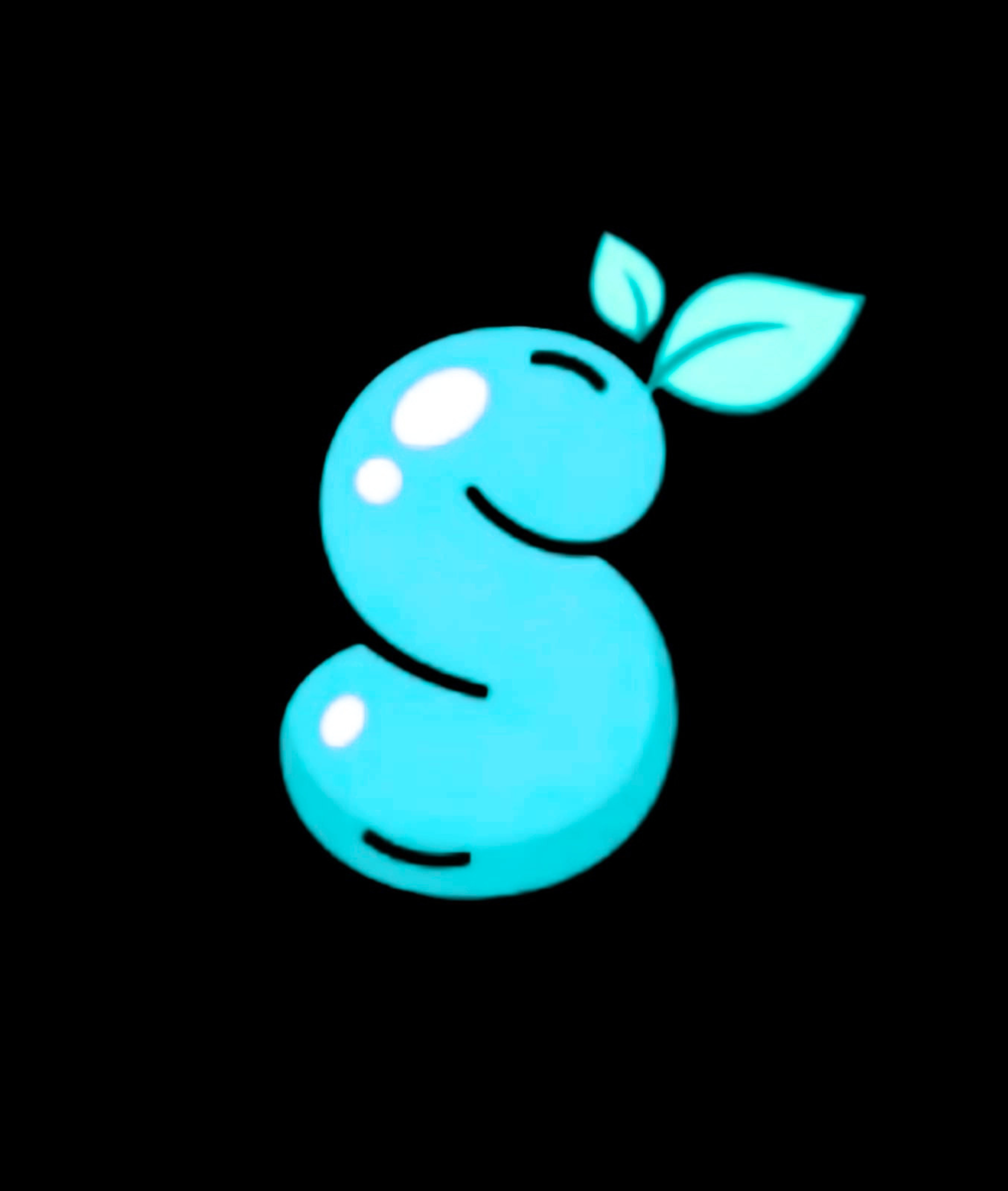 Seercode India — Code without leaks